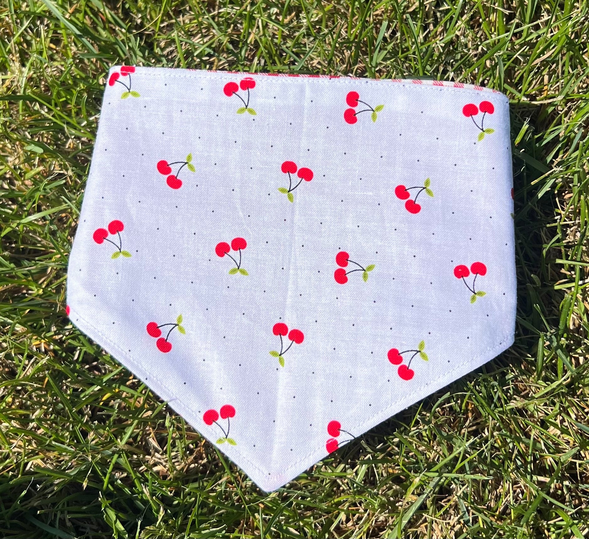 Cherry Picnic Reversible Pet Bandanas