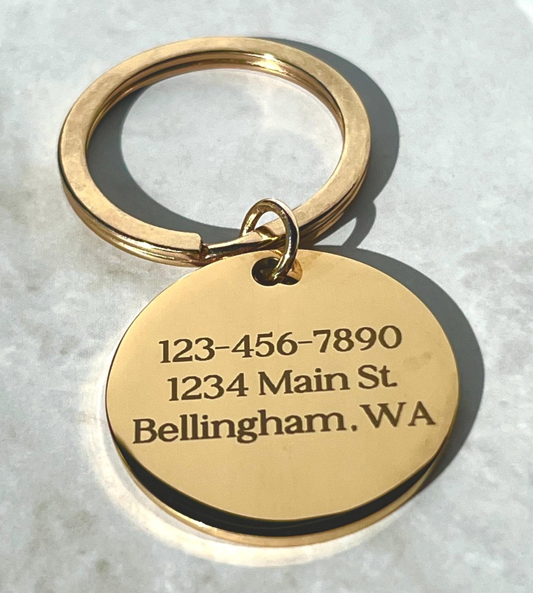 Stainless Steel Pet Tag Double Sided Engraving Custom Text Options Durable Metal Construction Multiple Sizes Available Dog Cat Identity Tags Personalized Design Collar Attachment Premium Quality Waterproof Protection Various Color Choices