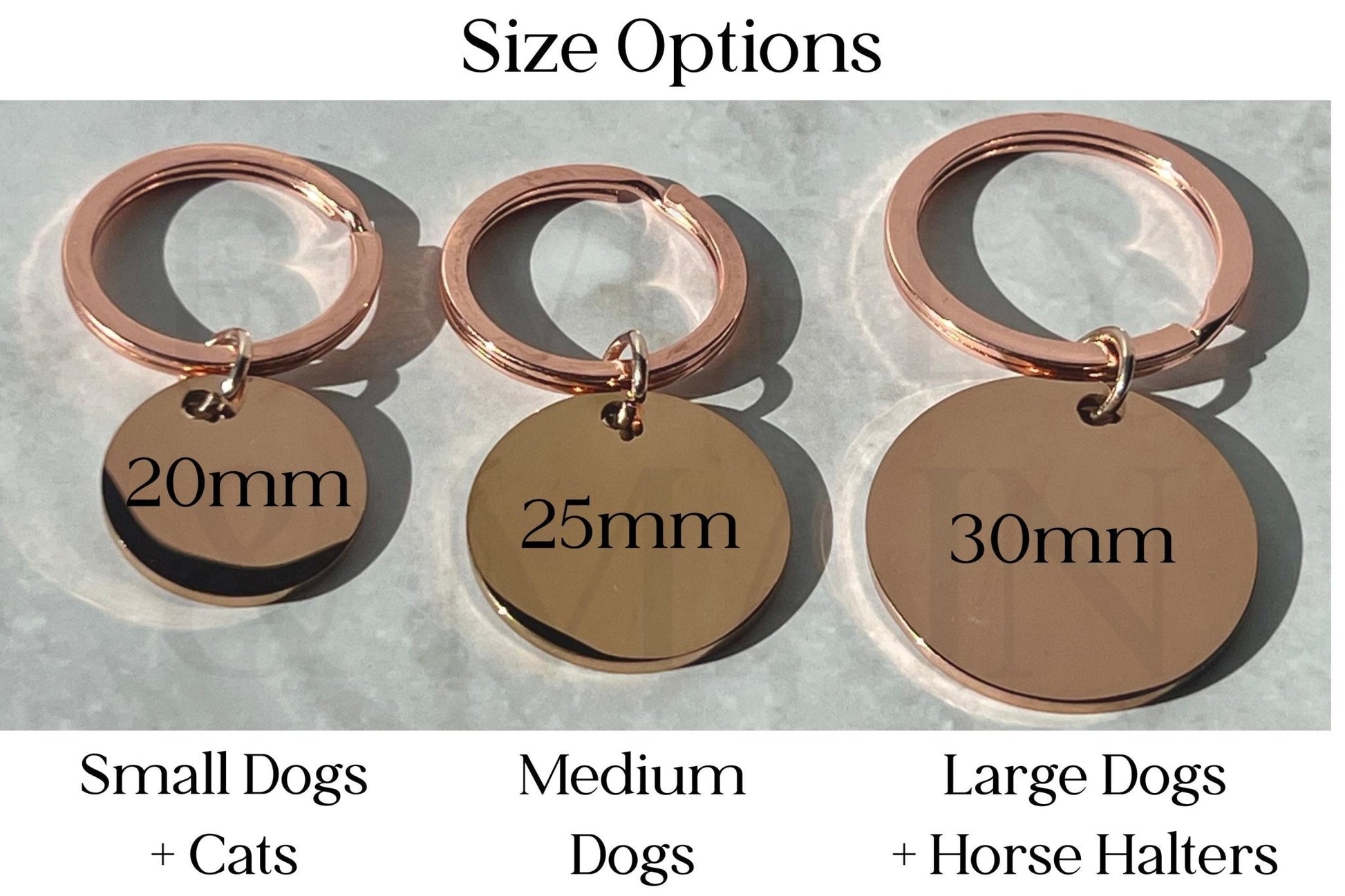 Pet Name Tag